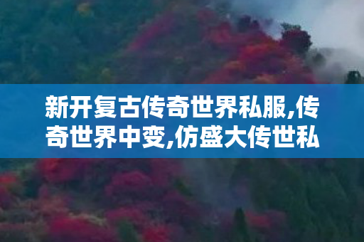 新开复古传奇世界私服,传奇世界中变,仿盛大传世私服发布网,传奇世界中变