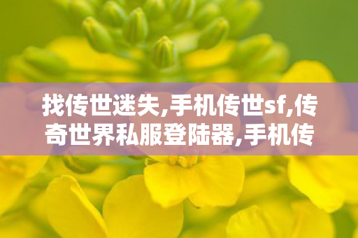 找传世迷失,手机传世sf,传奇世界私服登陆器,手机传世sf