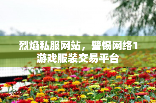烈焰私服网站，警惕网络1游戏服装交易平台