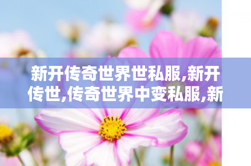 新开传奇世界世私服,新开传世,传奇世界中变私服,新开传世