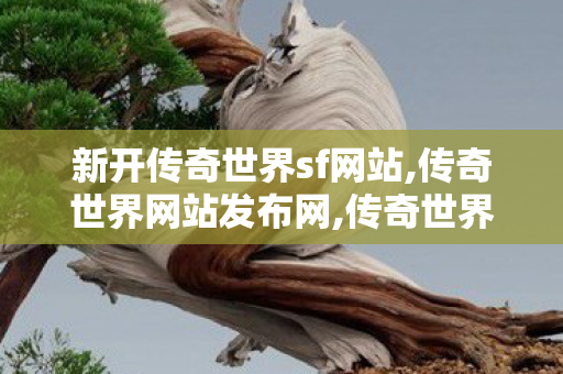 新开传奇世界sf网站,传奇世界网站发布网,传奇世界私服微变,传奇世界网站发布网