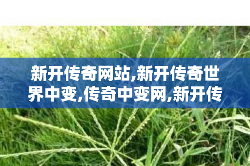 新开传奇网站,新开传奇世界中变,传奇中变网,新开传奇世界中变