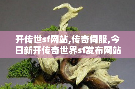 开传世sf网站,传奇伺服,今日新开传奇世界sf发布网站,传奇伺服