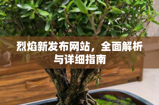 烈焰新发布网站，全面解析与详细指南