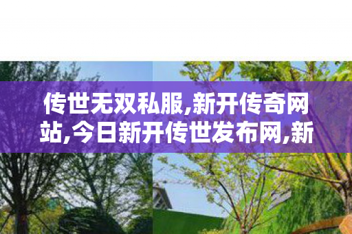 传世无双私服,新开传奇网站,今日新开传世发布网,新开传奇网站