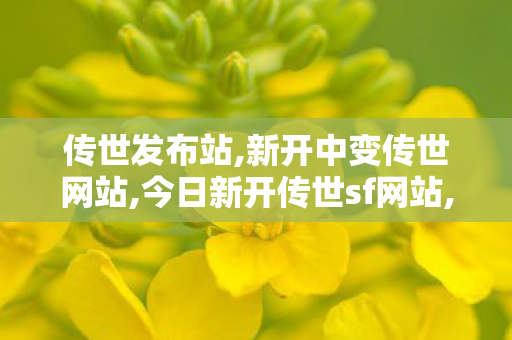 传世发布站,新开中变传世网站,今日新开传世sf网站,新开中变传世网站