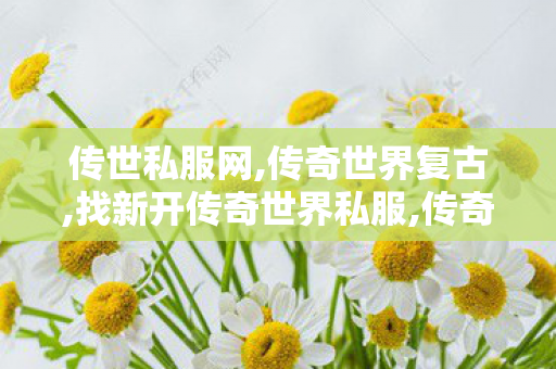 传世私服网,传奇世界复古,找新开传奇世界私服,传奇世界复古
