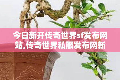 今日新开传奇世界sf发布网站,传奇世界私服发布网新开服发布吧,最新新开传奇世界sf,传奇世界私服发布网新开服发布吧