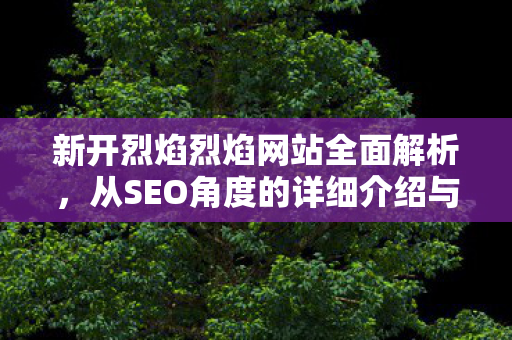 新开烈焰烈焰网站全面解析，从SEO角度的详细介绍与内容分析