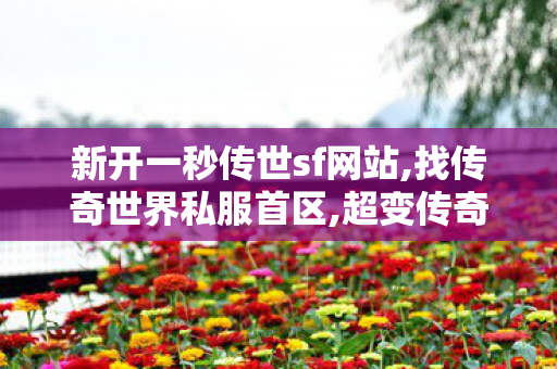 新开一秒传世sf网站,找传奇世界私服首区,超变传奇世界私服网,找传奇世界私服首区