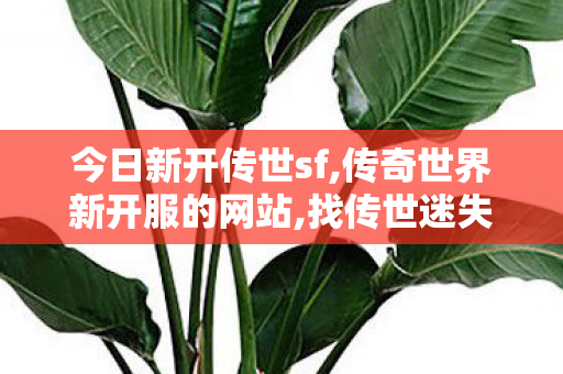今日新开传世sf,传奇世界新开服的网站,找传世迷失,传奇世界新开服的网站