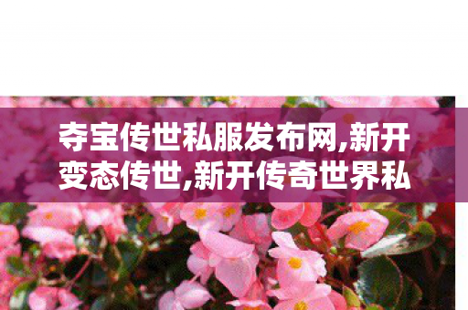 夺宝传世私服发布网,新开变态传世,新开传奇世界私服,新开变态传世