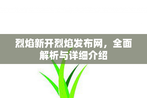 烈焰新开烈焰发布网，全面解析与详细介绍