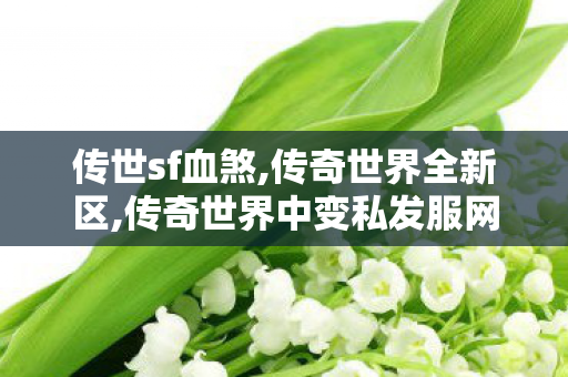 传世sf血煞,传奇世界全新区,传奇世界中变私发服网,传奇世界全新区