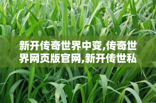 新开传奇世界中变,传奇世界网页版官网,新开传世私服发布网,传奇世界网页版官网