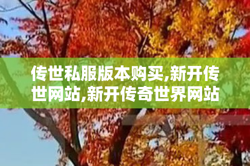 传世私服版本购买,新开传世网站,新开传奇世界网站,新开传世网站
