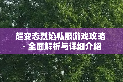 超变态烈焰私服游戏攻略 - 全面解析与详细介绍