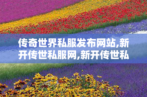 传奇世界私服发布网站,新开传世私服网,新开传世私服,新开传世私服网