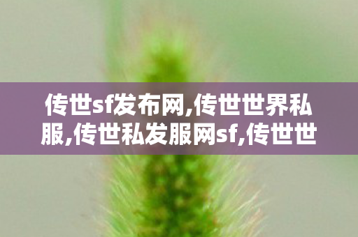 传世sf发布网,传世世界私服,传世私发服网sf,传世世界私服