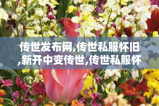 传世发布网,传世私服怀旧,新开中变传世,传世私服怀旧