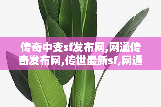 传奇中变sf发布网,网通传奇发布网,传世最新sf,网通传奇发布网