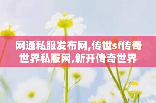 网通私服发布网,传世sf传奇世界私服网,新开传奇世界私服sf,传世sf传奇世界私服网