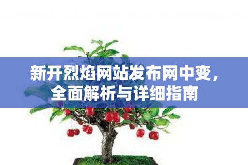 新开烈焰网站发布网中变，全面解析与详细指南
