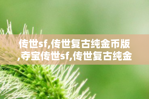 传世sf,传世复古纯金币版,夺宝传世sf,传世复古纯金币版