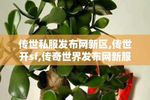 传世私服发布网新区,传世开sf,传奇世界发布网新服,传世开sf