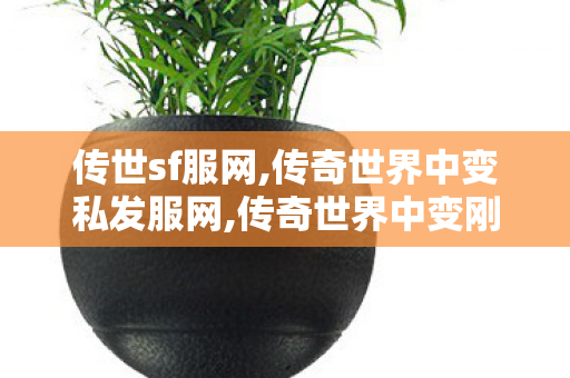 传世sf服网,传奇世界中变私发服网,传奇世界中变刚开一秒,传奇世界中变私发服网