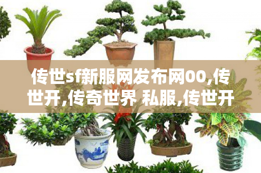 传世sf新服网发布网00,传世开,传奇世界 私服,传世开