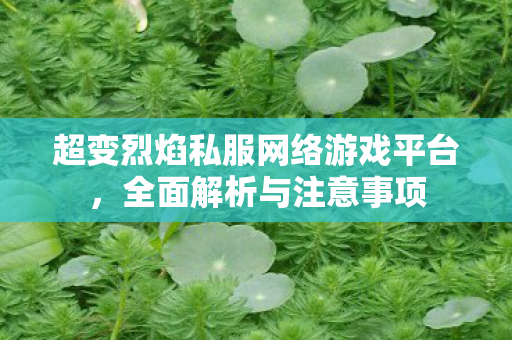 超变烈焰私服网络游戏平台，全面解析与注意事项