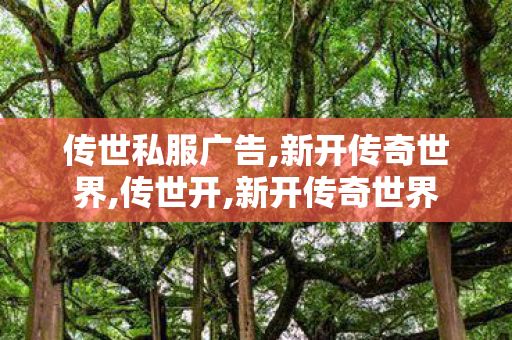 传世私服广告,新开传奇世界,传世开,新开传奇世界
