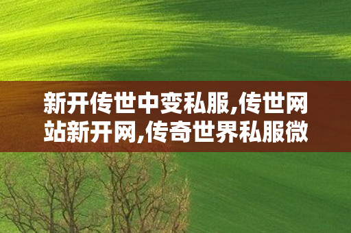 新开传世中变私服,传世网站新开网,传奇世界私服微变,传世网站新开网