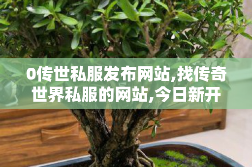 0传世私服发布网站,找传奇世界私服的网站,今日新开传奇世界私服,找传奇世界私服的网站