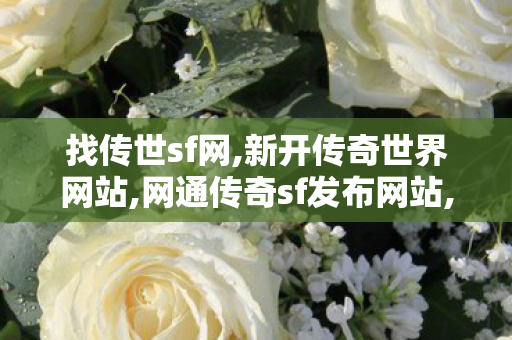 找传世sf网,新开传奇世界网站,网通传奇sf发布网站,新开传奇世界网站