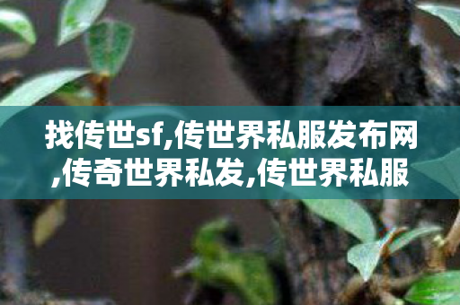 找传世sf,传世界私服发布网,传奇世界私发,传世界私服发布网