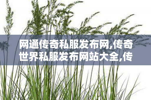 网通传奇私服发布网,传奇世界私服发布网站大全,传奇世界私服微变,传奇世界私服发布网站大全