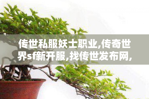 传世私服妖士职业,传奇世界sf新开服,找传世发布网,传奇世界sf新开服