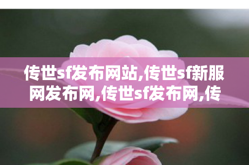 传世sf发布网站,传世sf新服网发布网,传世sf发布网,传世sf新服网发布网