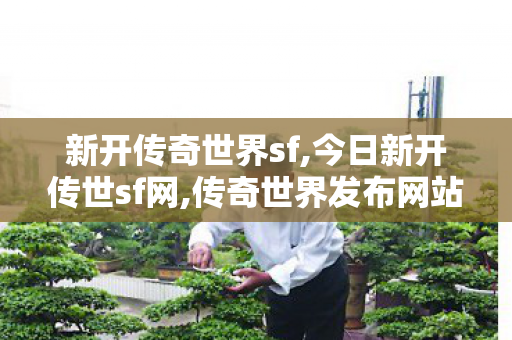 新开传奇世界sf,今日新开传世sf网,传奇世界发布网站,今日新开传世sf网
