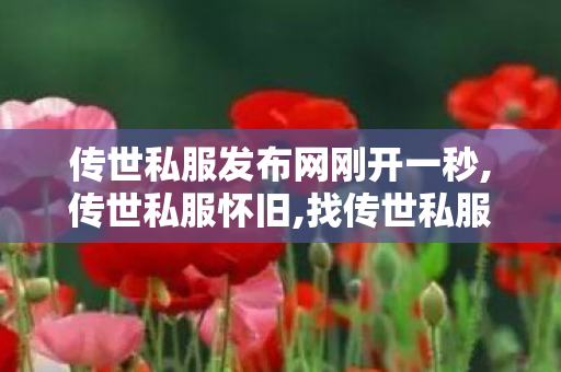 传世私服发布网刚开一秒,传世私服怀旧,找传世私服网,传世私服怀旧