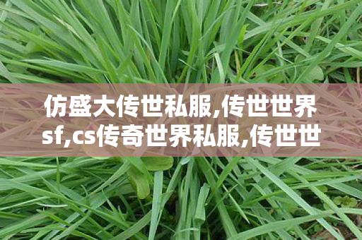 仿盛大传世私服,传世世界sf,cs传奇世界私服,传世世界sf