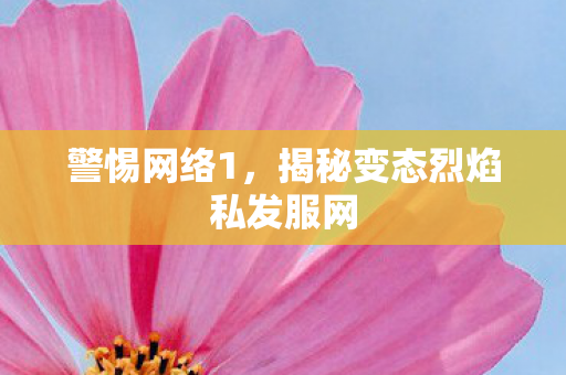 警惕网络1，揭秘变态烈焰私发服网