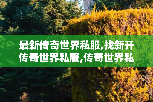 最新传奇世界私服,找新开传奇世界私服,传奇世界私服发布网,找新开传奇世界私服