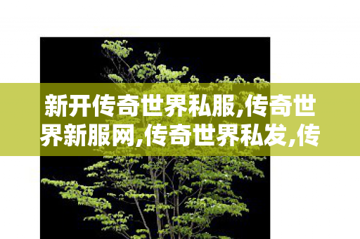 新开传奇世界私服,传奇世界新服网,传奇世界私发,传奇世界新服网