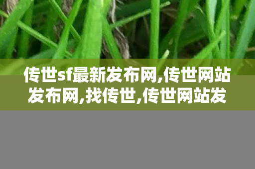 传世sf最新发布网,传世网站发布网,找传世,传世网站发布网