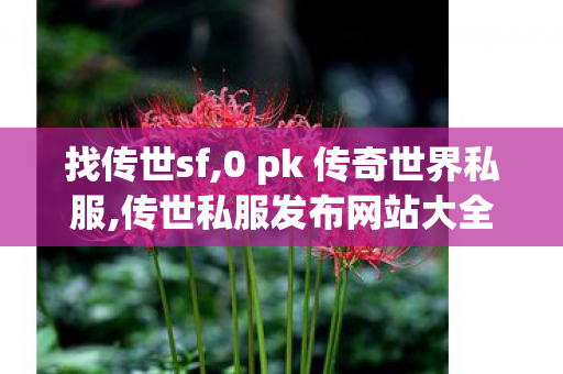 找传世sf,0 pk 传奇世界私服,传世私服发布网站大全,0 pk 传奇世界私服