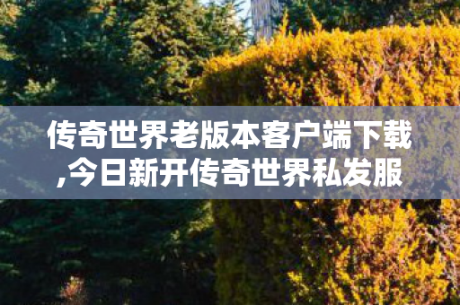 传奇世界老版本客户端下载,今日新开传奇世界私发服网,新开传奇世界sf网,今日新开传奇世界私发服网