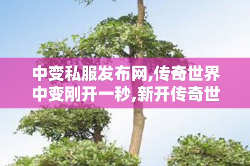 中变私服发布网,传奇世界中变刚开一秒,新开传奇世界私服,传奇世界中变刚开一秒